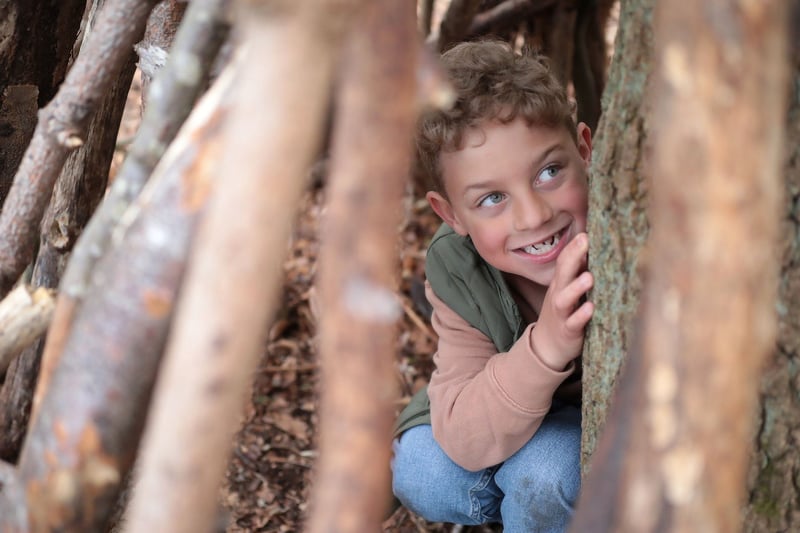 Explore the forest with our Forest Ranger