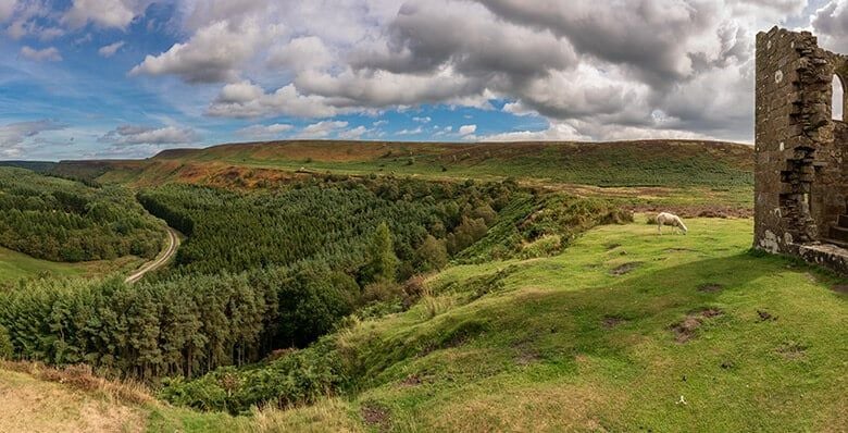 Newtondale forest trail, North Yorkshire