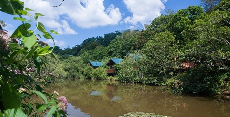 Cabins surround the millpond at Deepark in Cornwall
