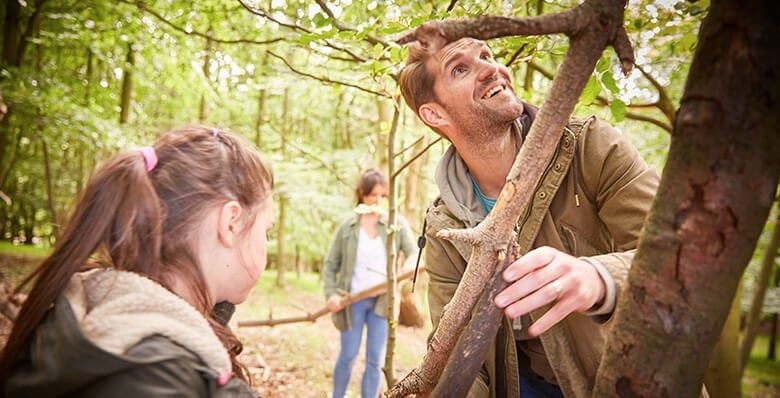 Family den building in the forest