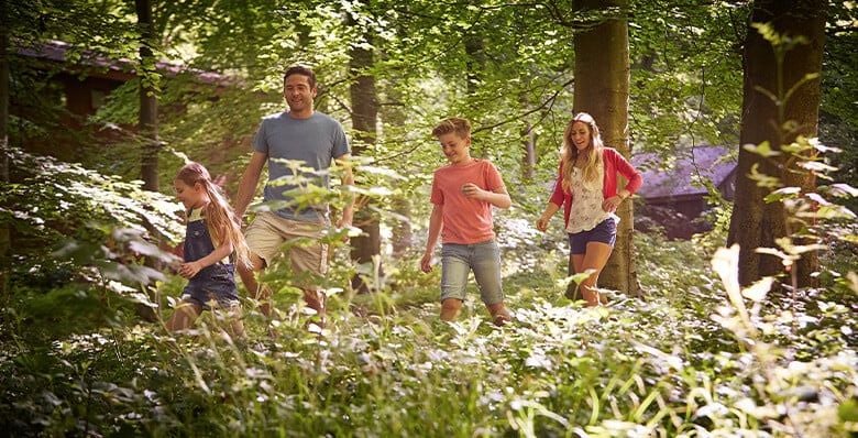 Family walking through the sunlit forest