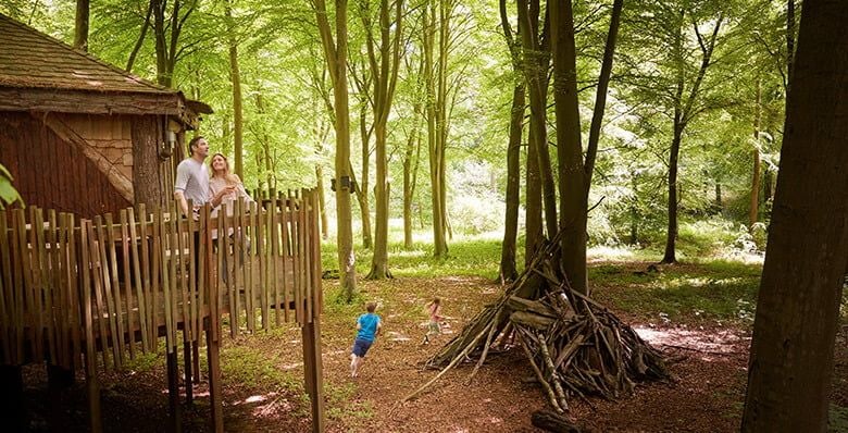 Family den building in the forest