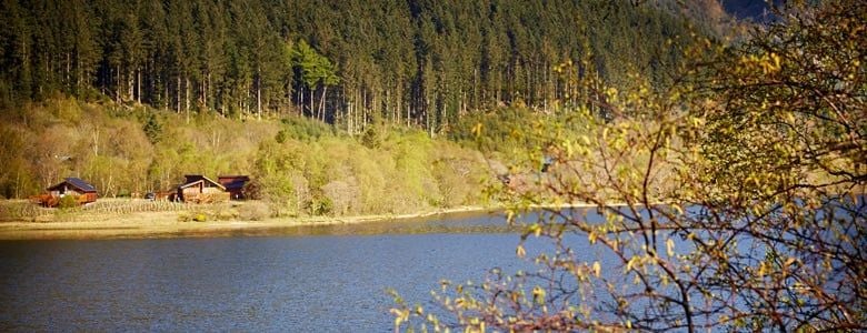 Landscape of Forest Holidays cabins at Strathyre in Scotland