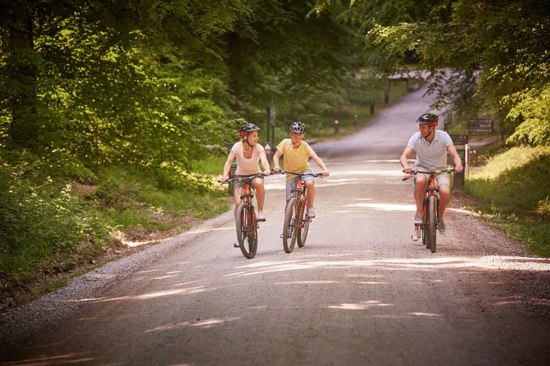 Family cycling through the forest at Blackwood Forest in Hampshire