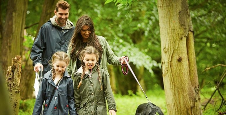 A springtime walk through the forest