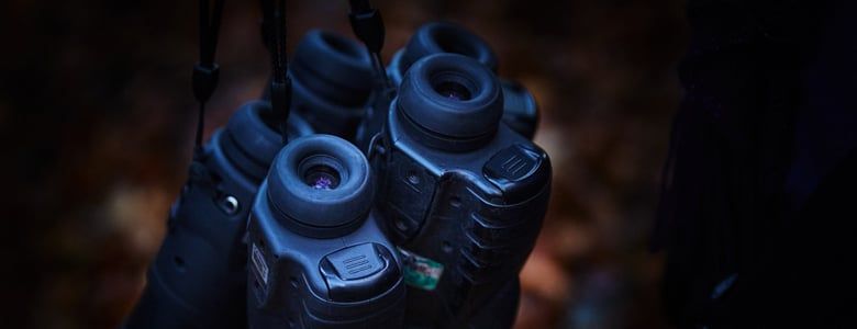 Book a Night Vision activity with our Forest Rangers 