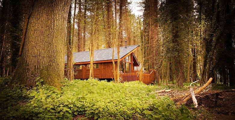 Log cabin in Thorpe Forest, Norfolk