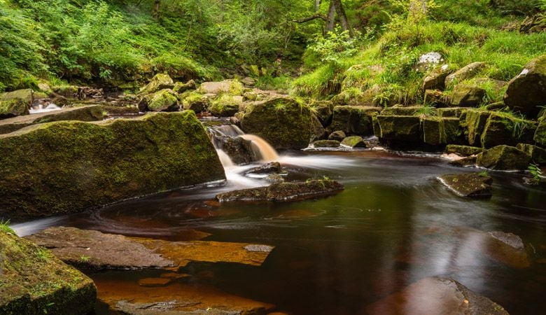 View of falls at Mallyan Spout