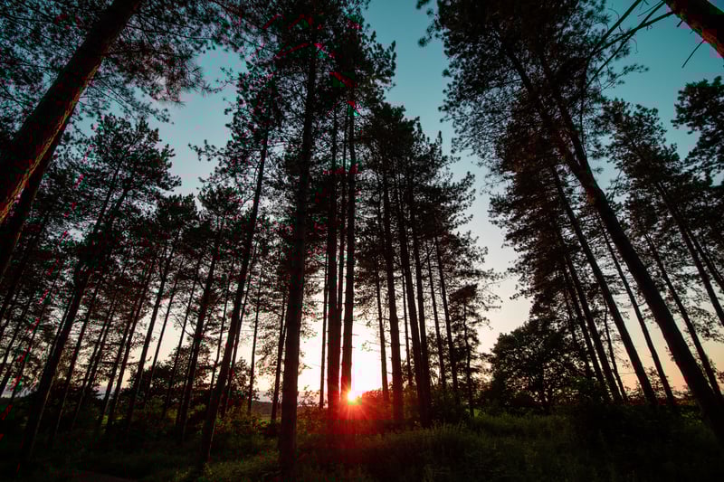View of Sherwood Pines