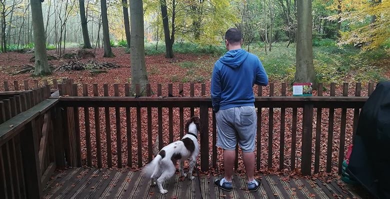 Enclosed decking area perfect for pets