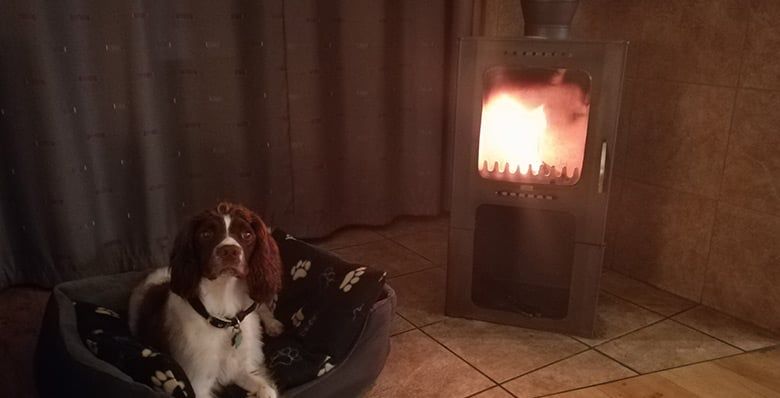 Dog enjoying time next to log burner