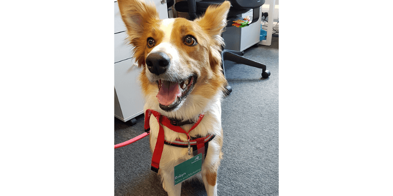 Robyn getting her name badge ready at the office