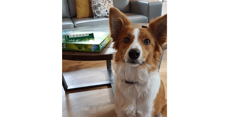 Robyn enjoys time in her pet-friendly cabin