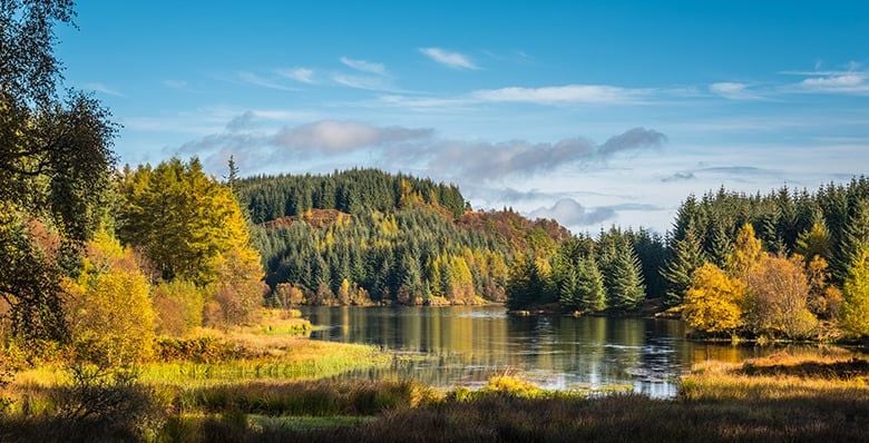 Queen Elizabeth Forest Park