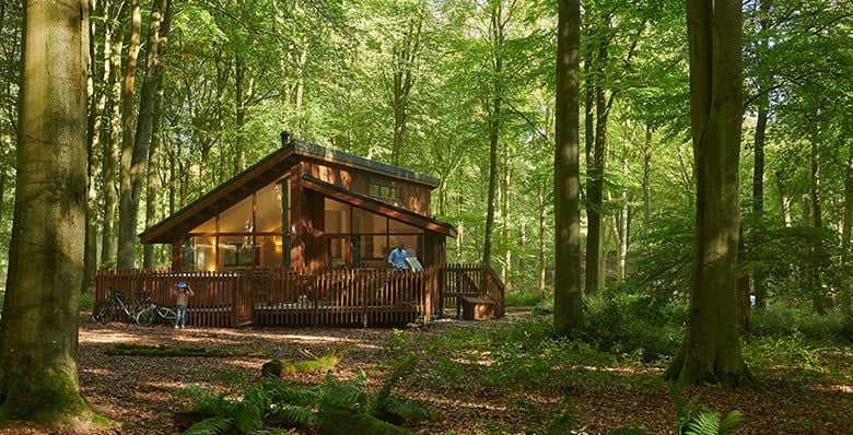 Log cabin hidden in the forest 