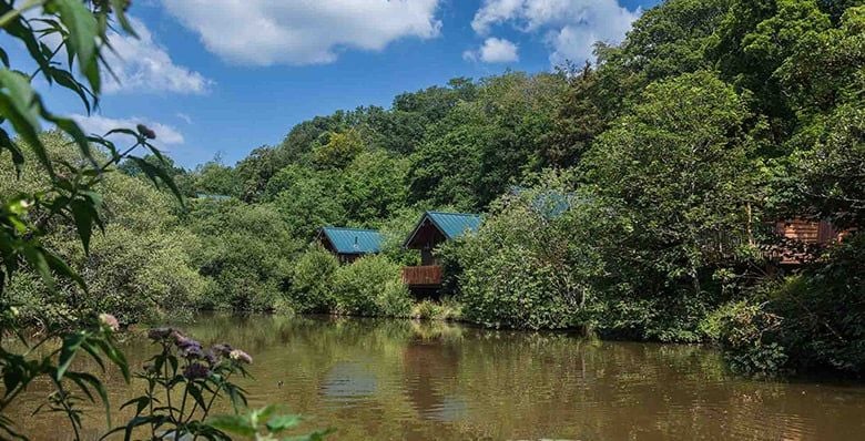 Log cabins sit waterside to a millpond at Deerpark, Forest Holidays