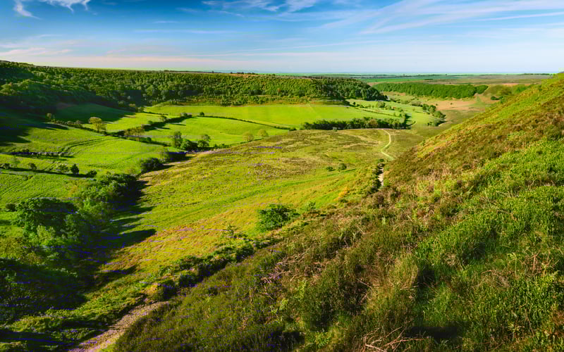 Levisham Moor and the Hole of Horcum