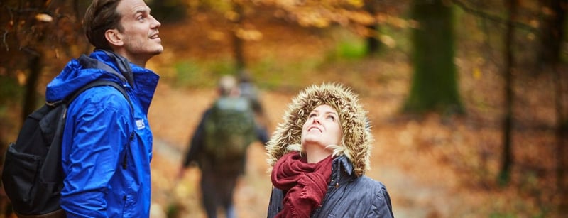 Couple exploring the forest