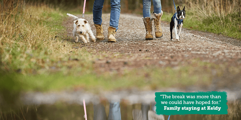 Two dogs and their owners on a walk at Forest Holidays, Keldy
