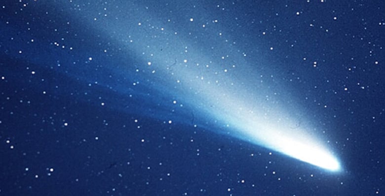 orionids