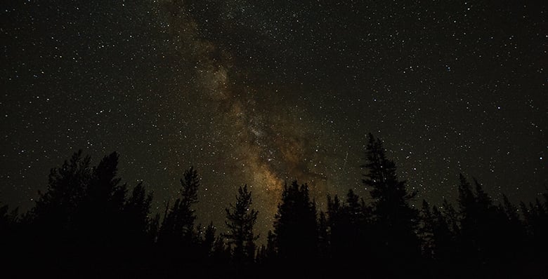 orionids