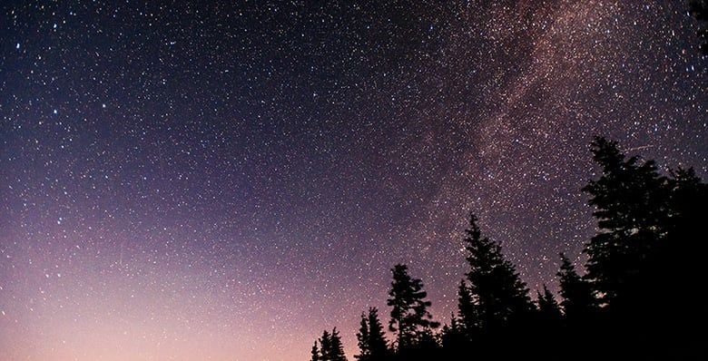 orionids