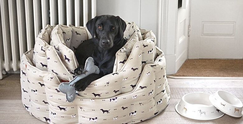Sophie Allport dog bed