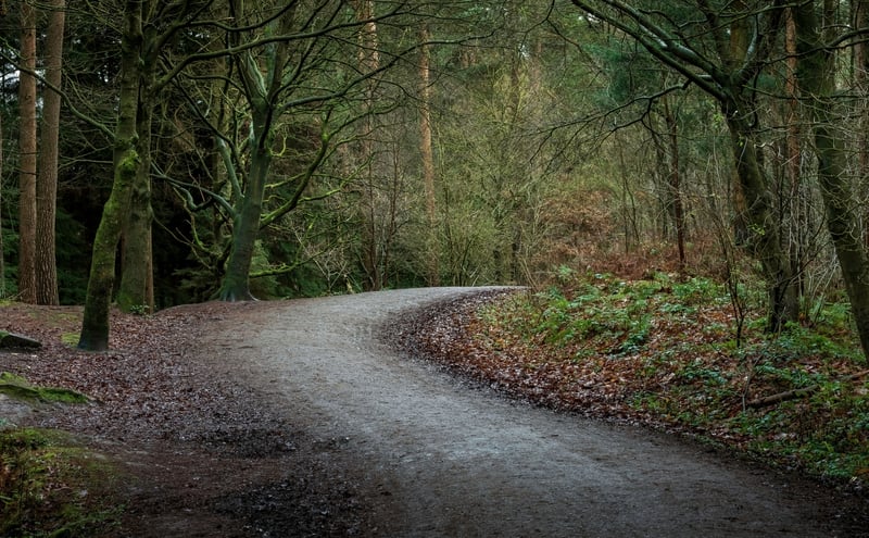 Blakemere trail in Cheshire