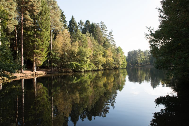 Mallard's Pike Lake in Forest of Dean, Gloucestershire.