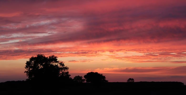 Pink sunset sky