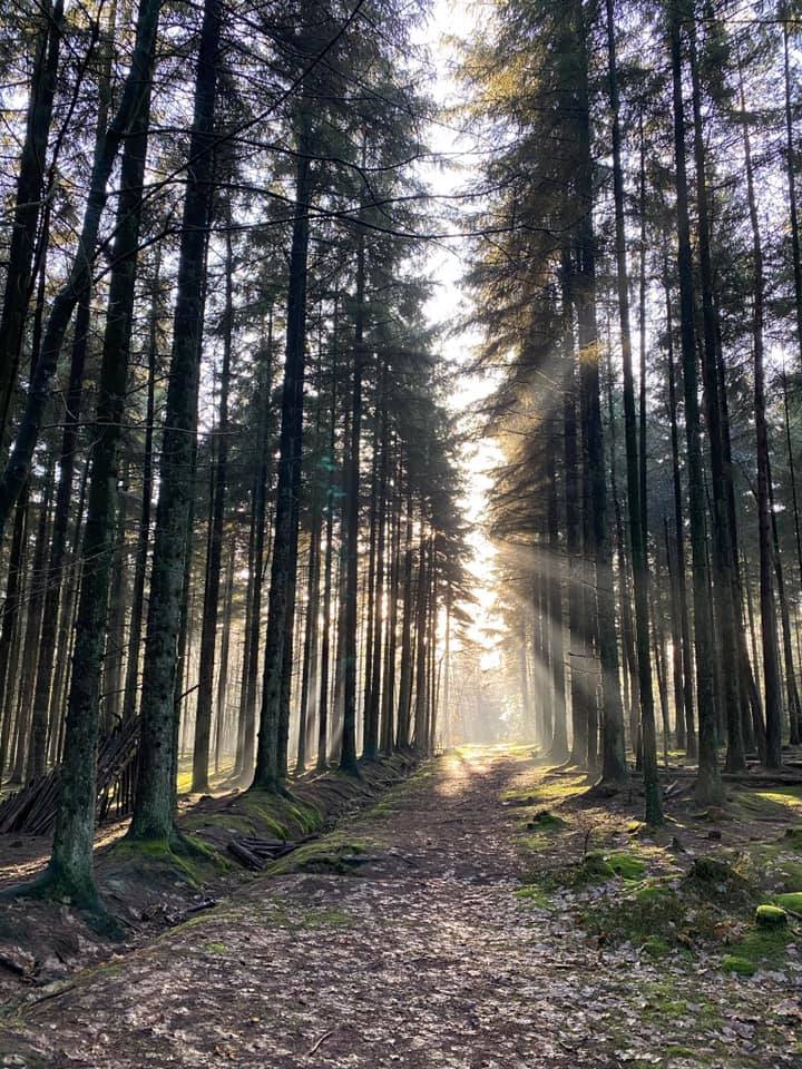 Wake up to sunlight streaming through the window.