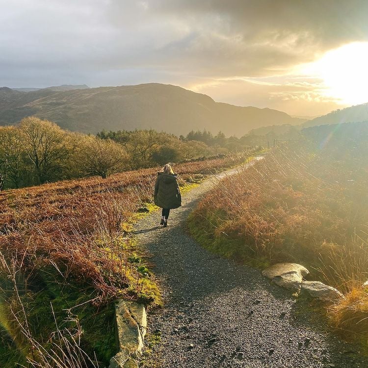 Disconnect from our digital world and reconnect with nature.