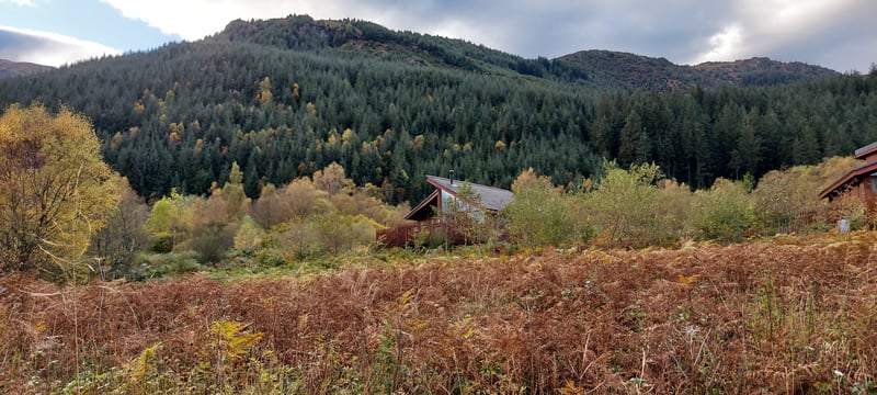 Find your Forest Feeling on a cabin break in the forest.