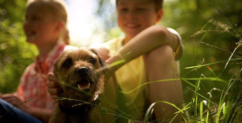 Two boys and their dog in the forest