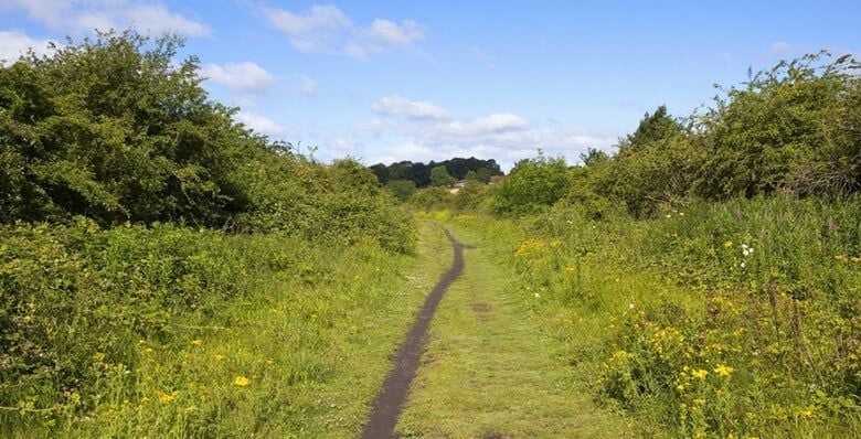 Grassy cycle track in North Yorkshire