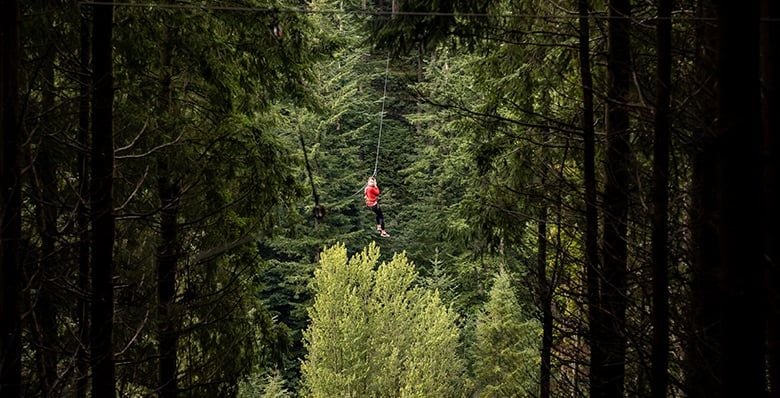 Zip trek through the trees at Go Ape