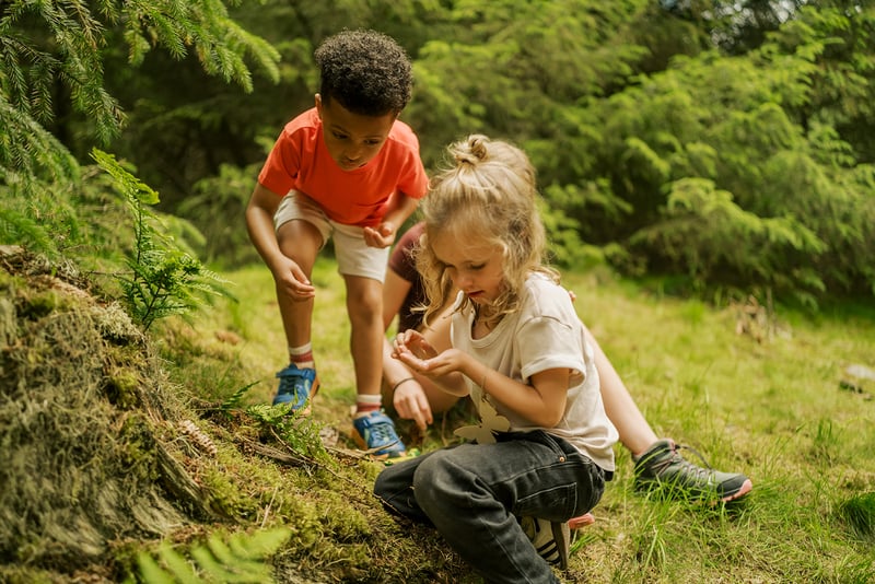 Kids searching for bugs in the forest