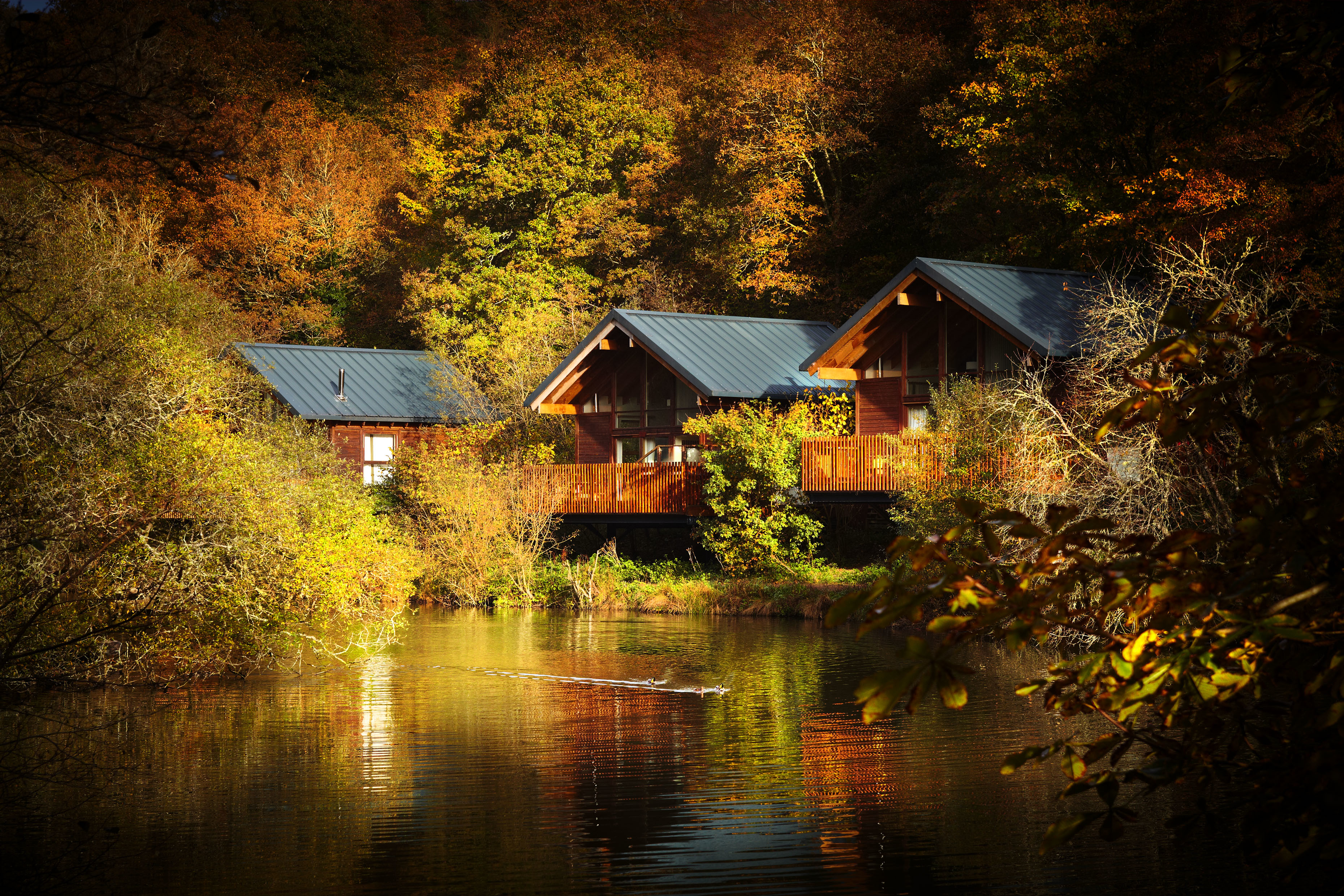 Forest Holidays Deerpark