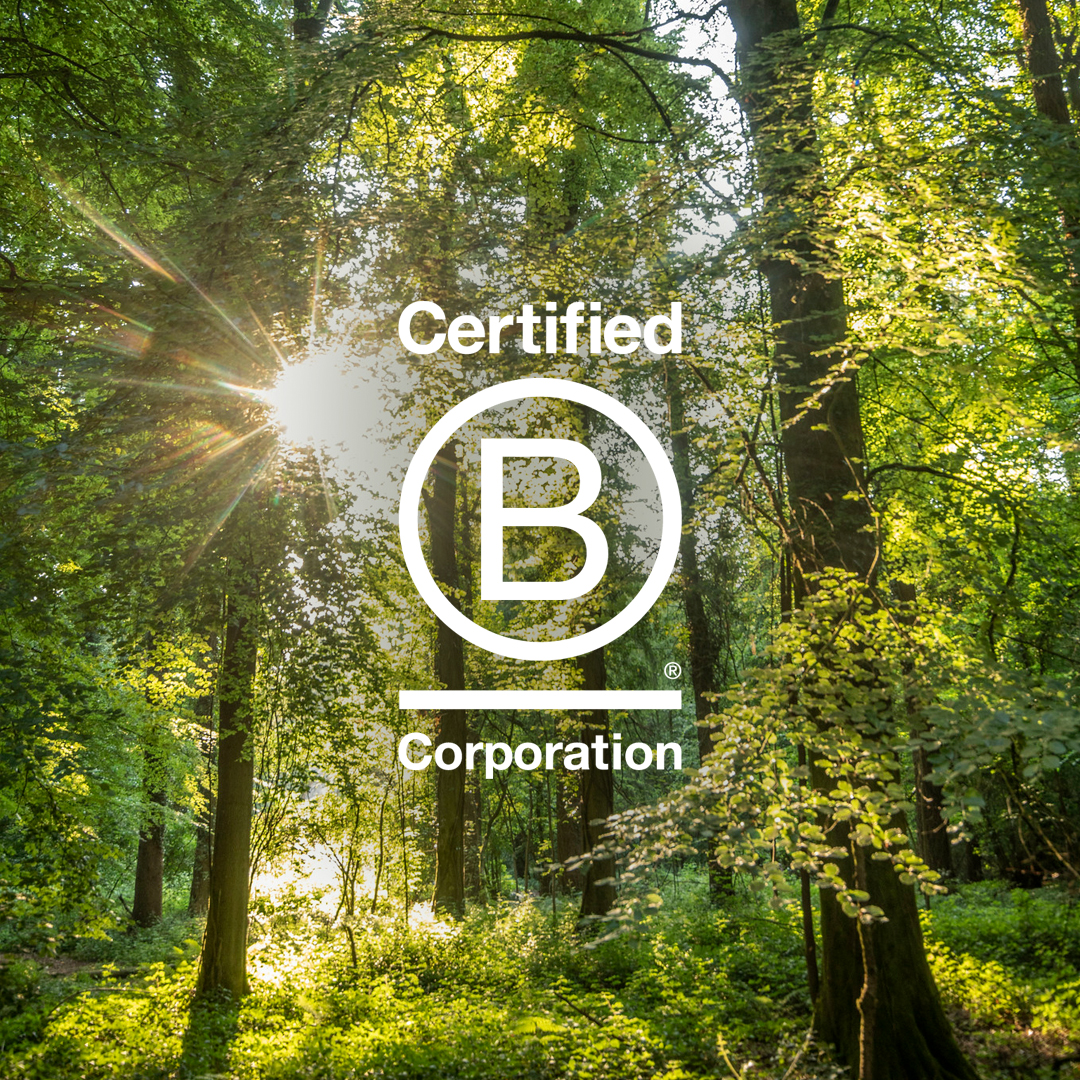 Supporting the forest