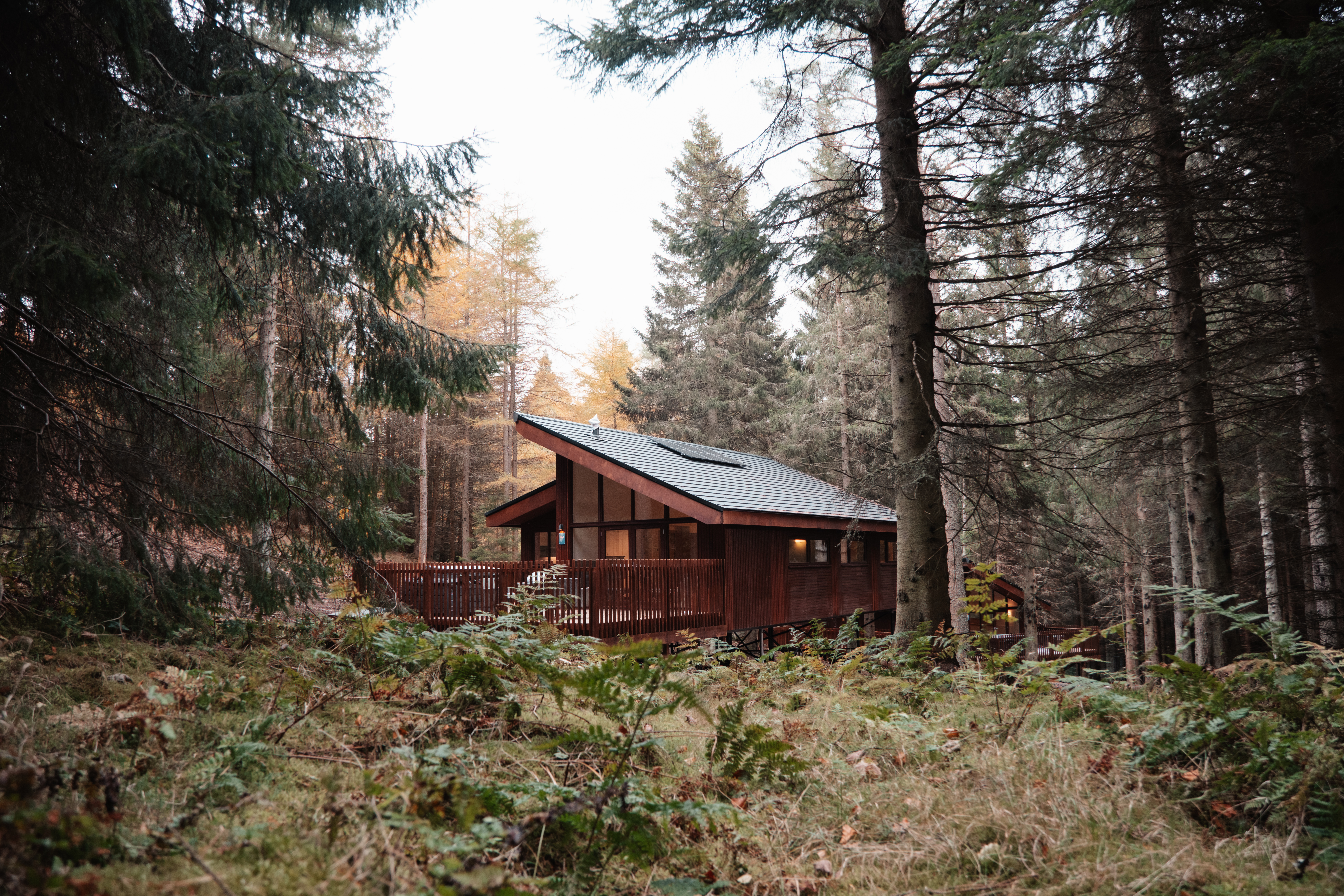 Forest Holidays Glentress Forest