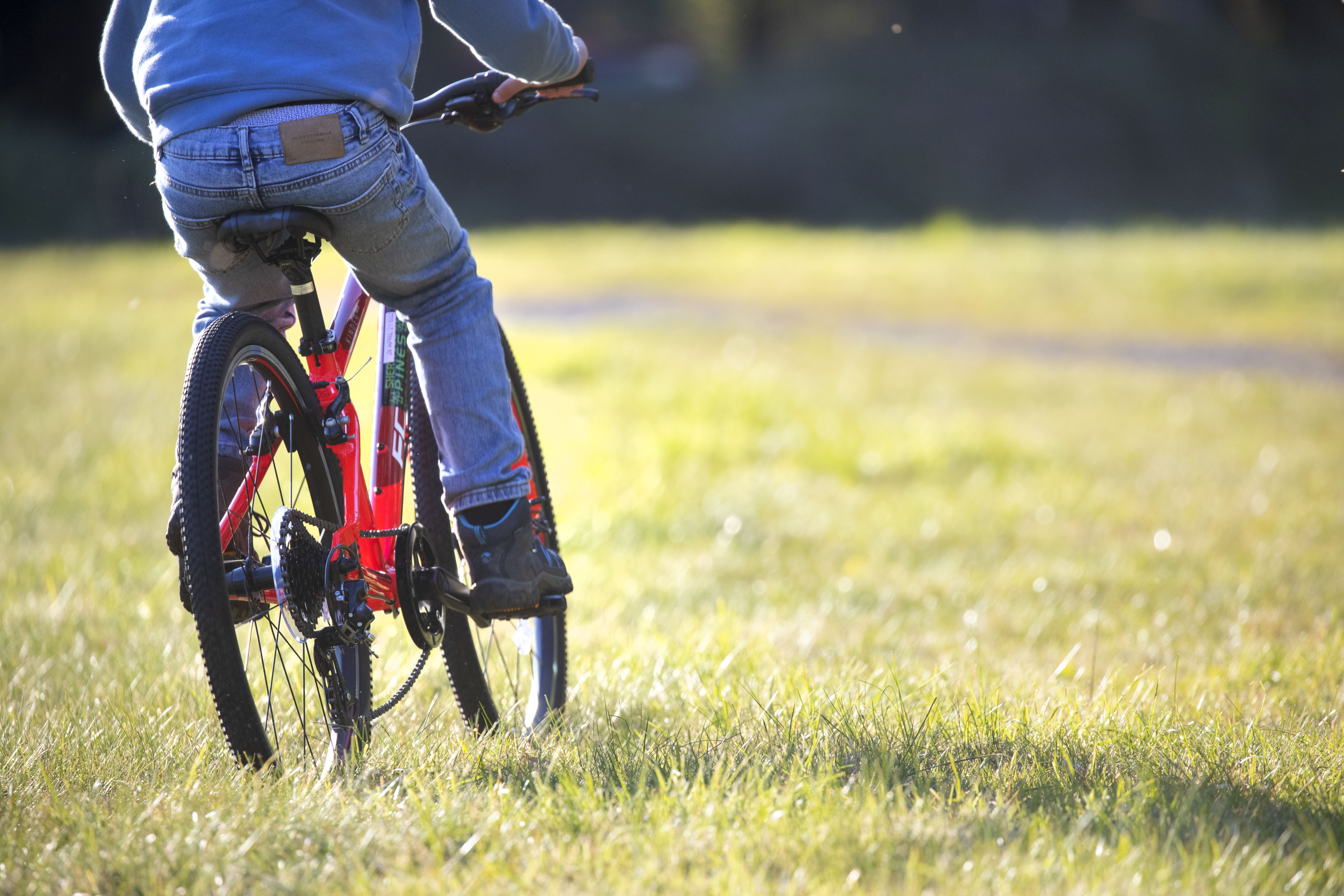 Activities at Forest of Dean
