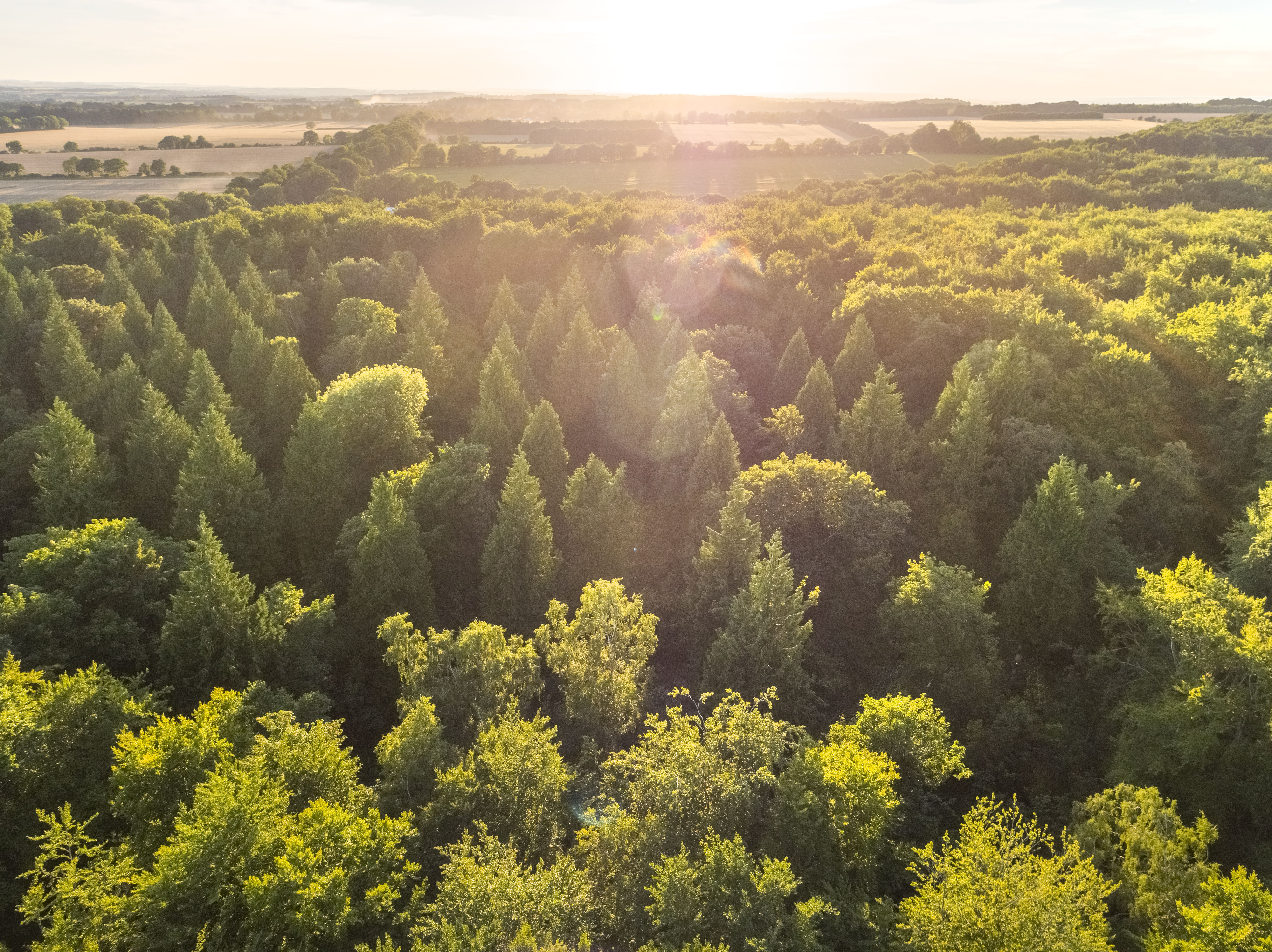 Locations | UK Holidays & Weekends Away | Forest Holidays
