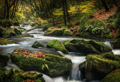 Golitha Falls