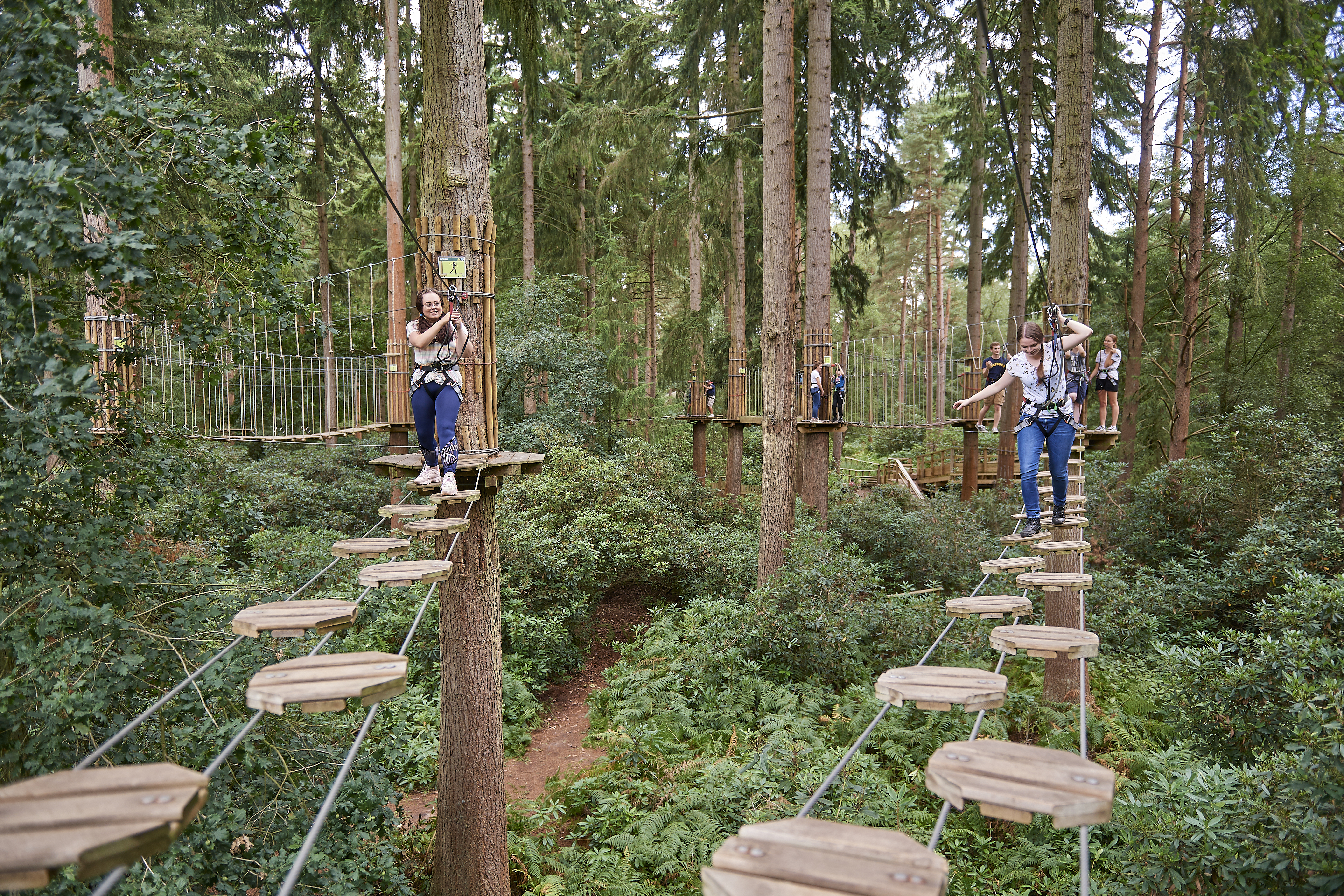 Go Ape