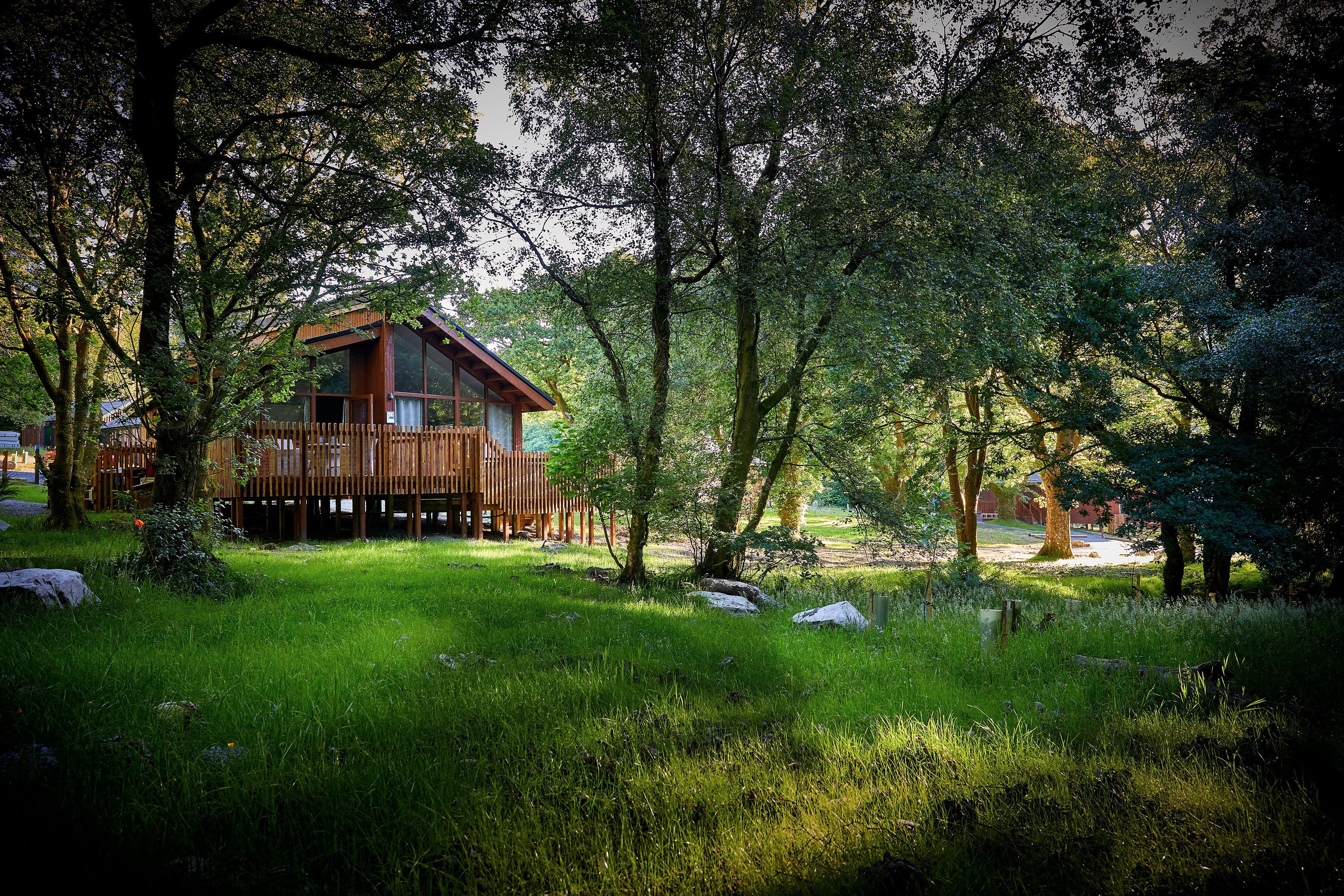 Forest Holidays Beddgelert